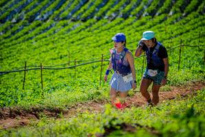 BIB: 2174, 2013
                            <button type="button" onclick="openModal(19162771)" class="btn btn-primary btn-sm float-right btn-popup" data-toggle="modal" data-target=".modal-high-quality">
                        <i class="fas fa-shopping-cart"></i> Add to Cart
                    </button>
                                            <button type="button" onclick="isThisMe(19162771, true)" class="btn btn-success btn-sm float-right btn-popup btn-isme hidden" data-toggle="tooltip" data-placement="bottom" title="นี่คือรูปของคุณใช่ไหม คลิกที่นี่เพื่อเอาเข้าอัลบั้ม">
                        <i class="fas fa-plus"></i> Add to album
                    </button>
                    <button type="button" onclick="isThisMe(19162771, false)" class="btn btn-warning btn-sm float-right btn-popup btn-isnotme hidden">
                        <i class="fas fa-ban"></i> Remove from album
                    </button>